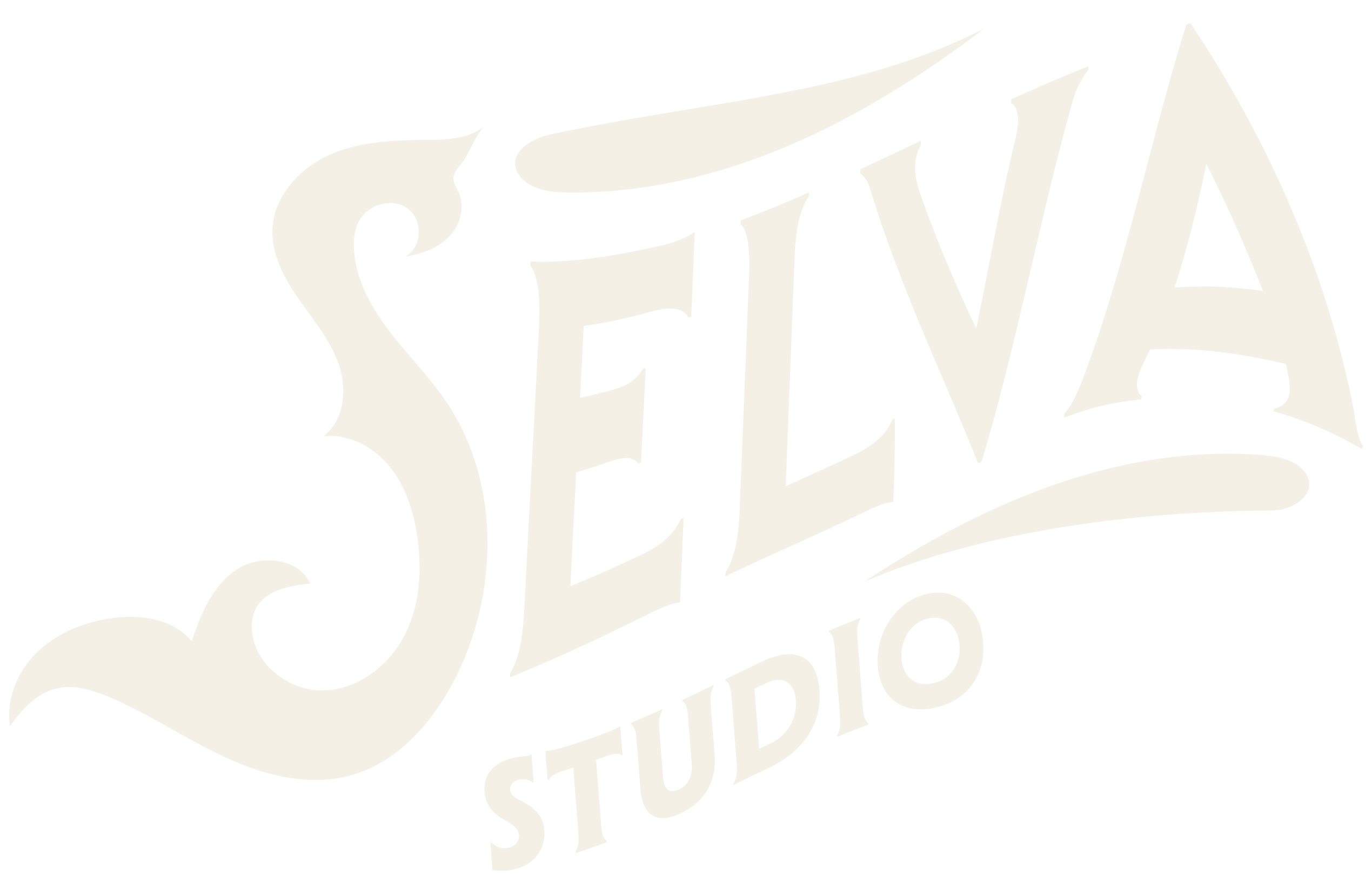 Selva Studio